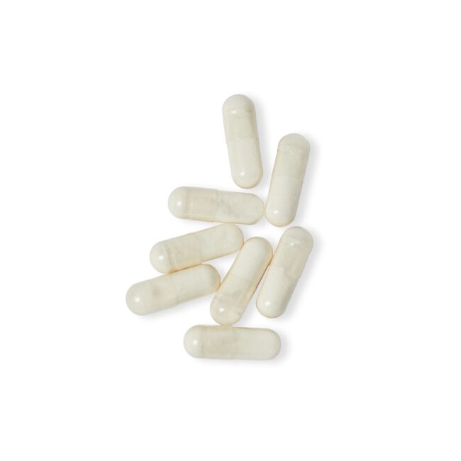 DIGESTIVE ELITE — Enzyme + Probiotic Fusion - Image 5